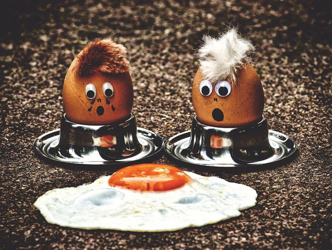 Colheita matinal de Ovos